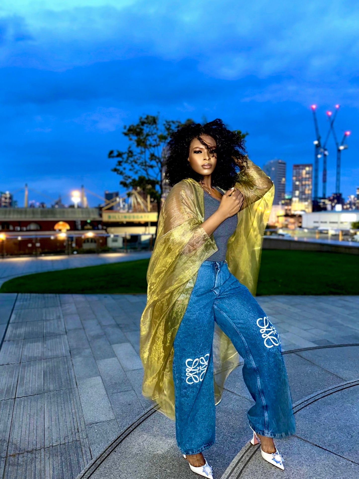 Organza Kimono