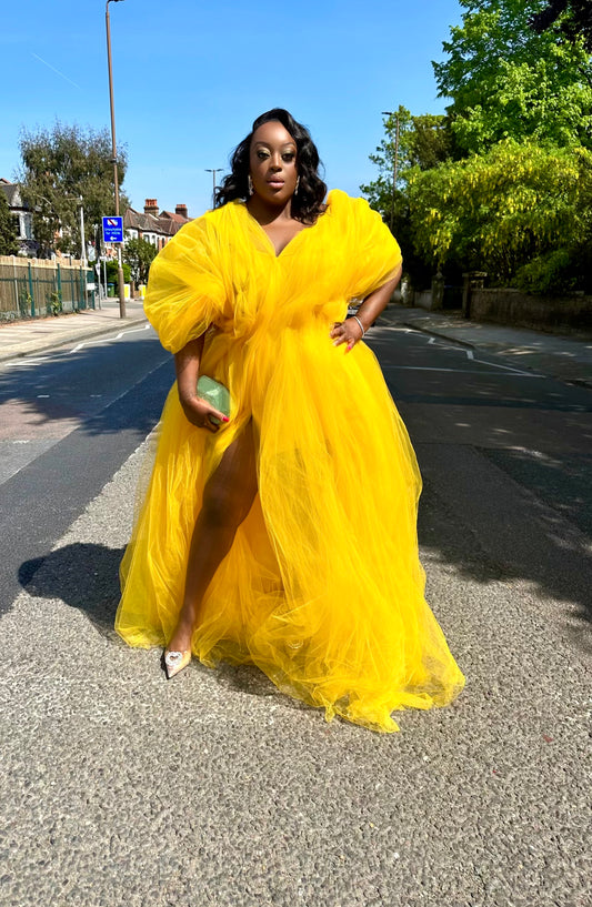 Mesh ball dress